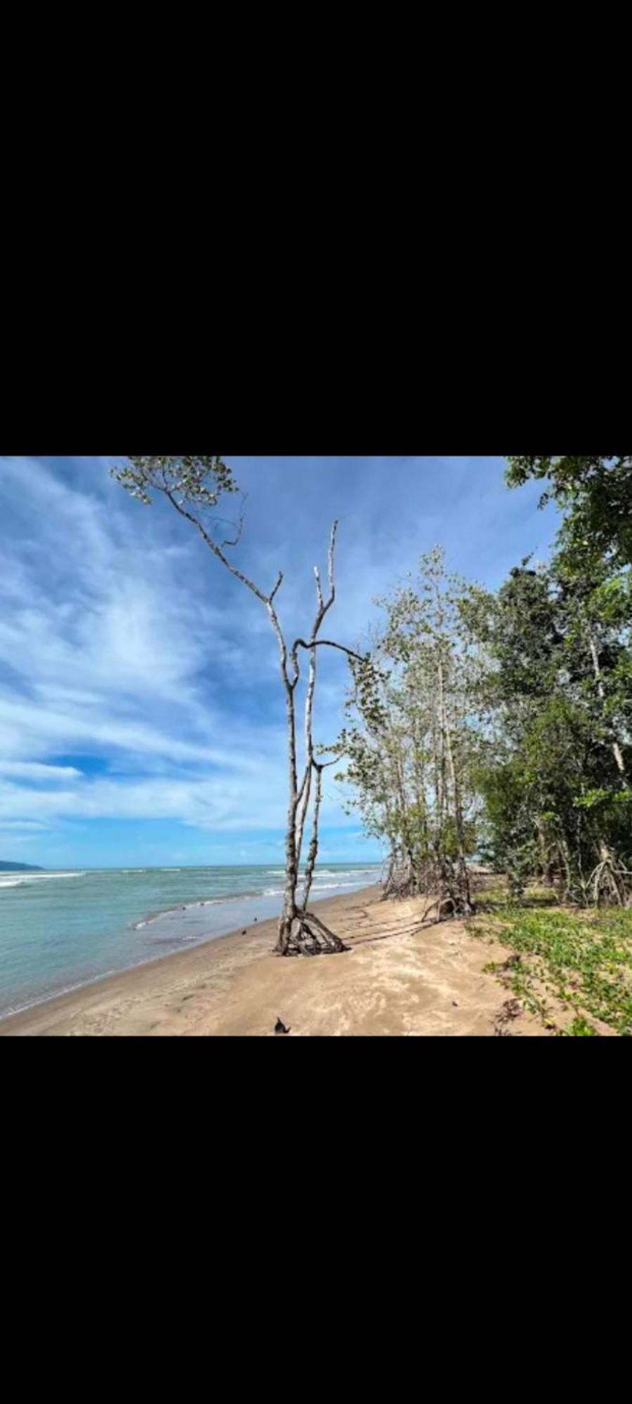 The Mangrove Villa Sematan Eksteriør billede